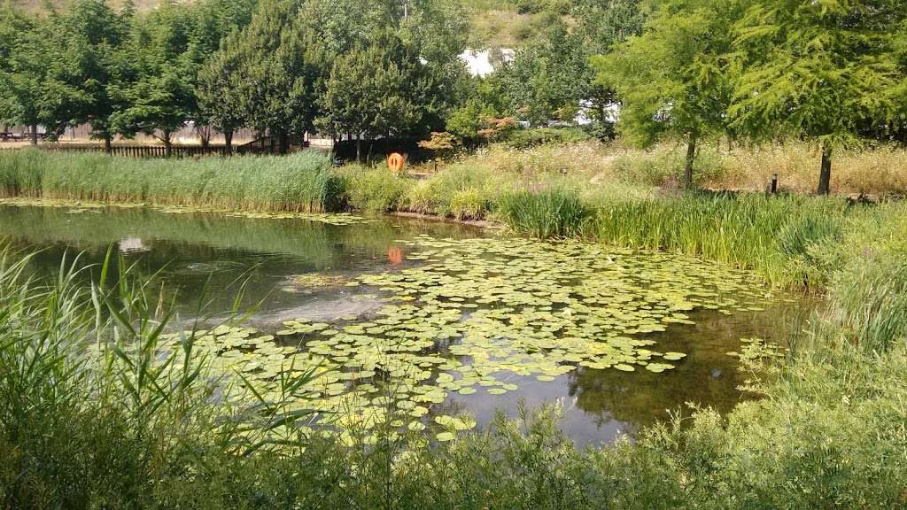 Bluewater Nature Trail | Stone, Dartford, Greenhithe DA9 9SU, UK