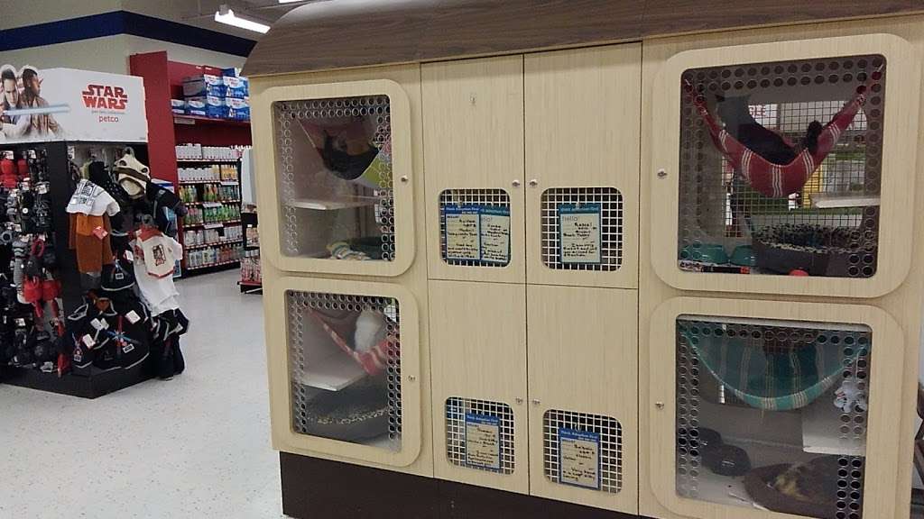 Petco | 12601 Towne Center Dr, Cerritos, CA 90703, USA | Phone: (562) 924-3018