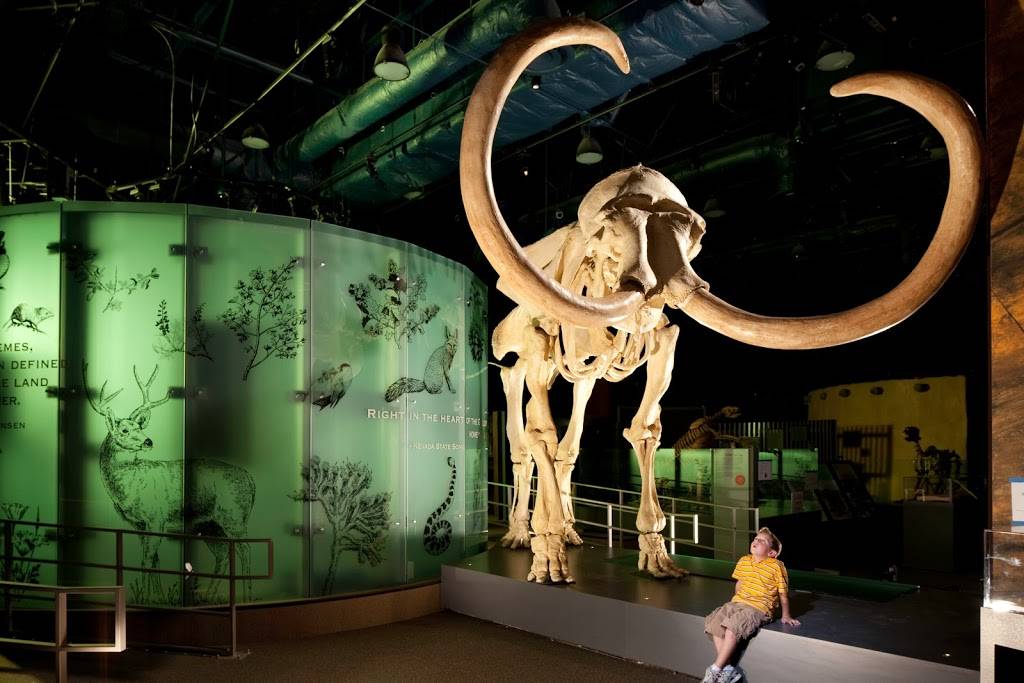 Nevada State Museum, Las Vegas | 309 S Valley View Blvd, Las Vegas, NV 89107, USA | Phone: (702) 486-5205