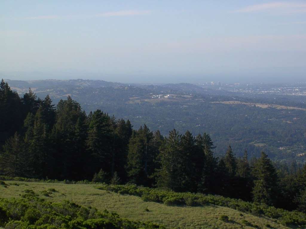 Windy Hill | Hamms Gulch Trail, Portola Valley, CA 94028, USA
