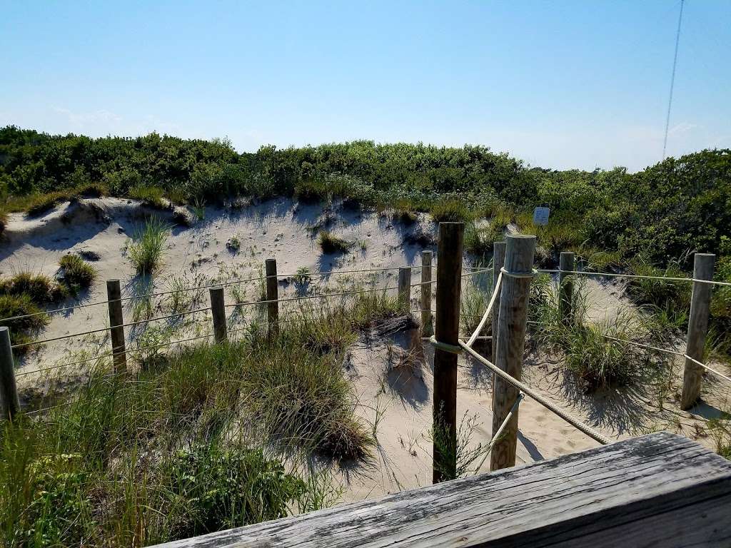 Cape May National Wildlife Refuge | 24 Kimbles Beach Rd, Cape May Court House, NJ 08210, USA | Phone: (609) 463-0994