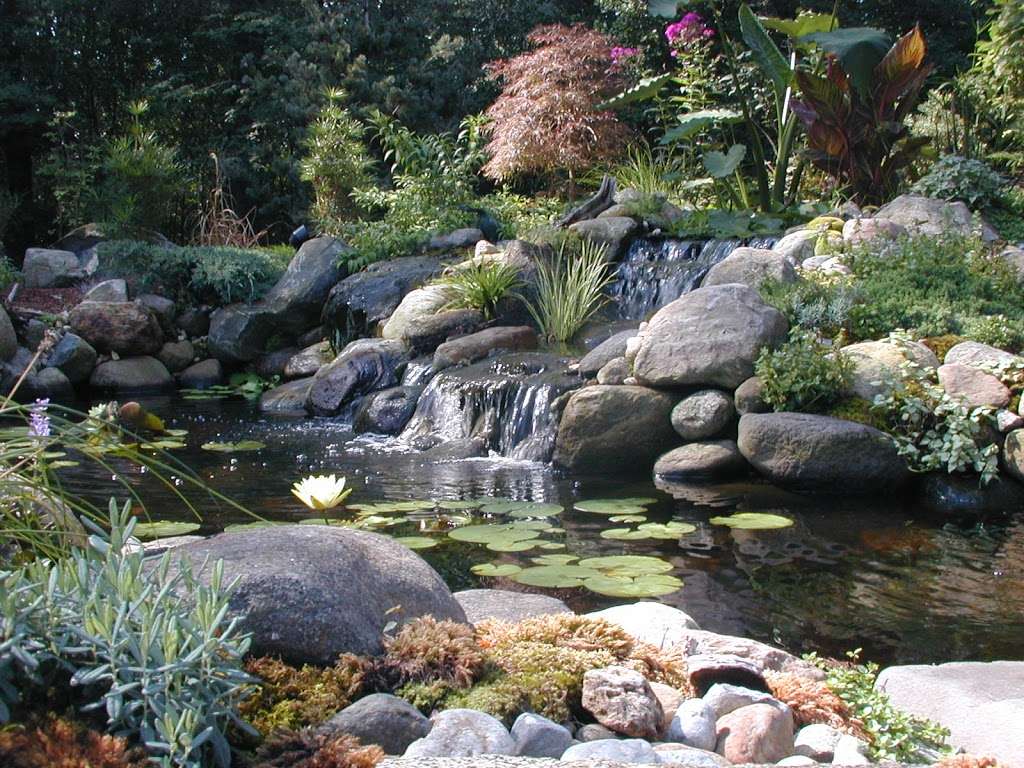 New England Water Gardens | 166 Prospect Ave, Revere, MA 02151, USA | Phone: (617) 515-2032