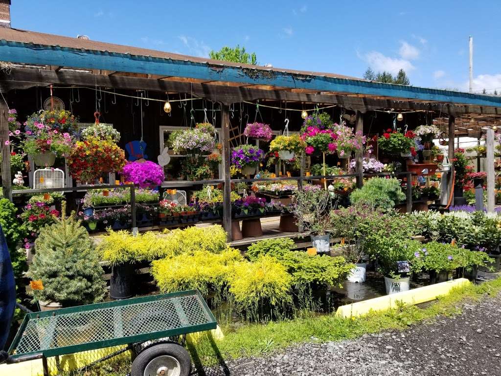 Growers Nursery | 925 Main St, Newfoundland, PA 18445, USA