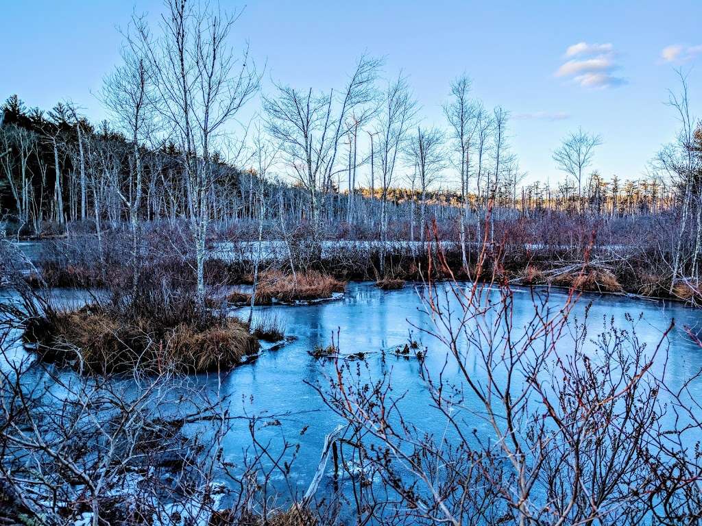 Cathedral Pines | Essex, MA 01929, USA