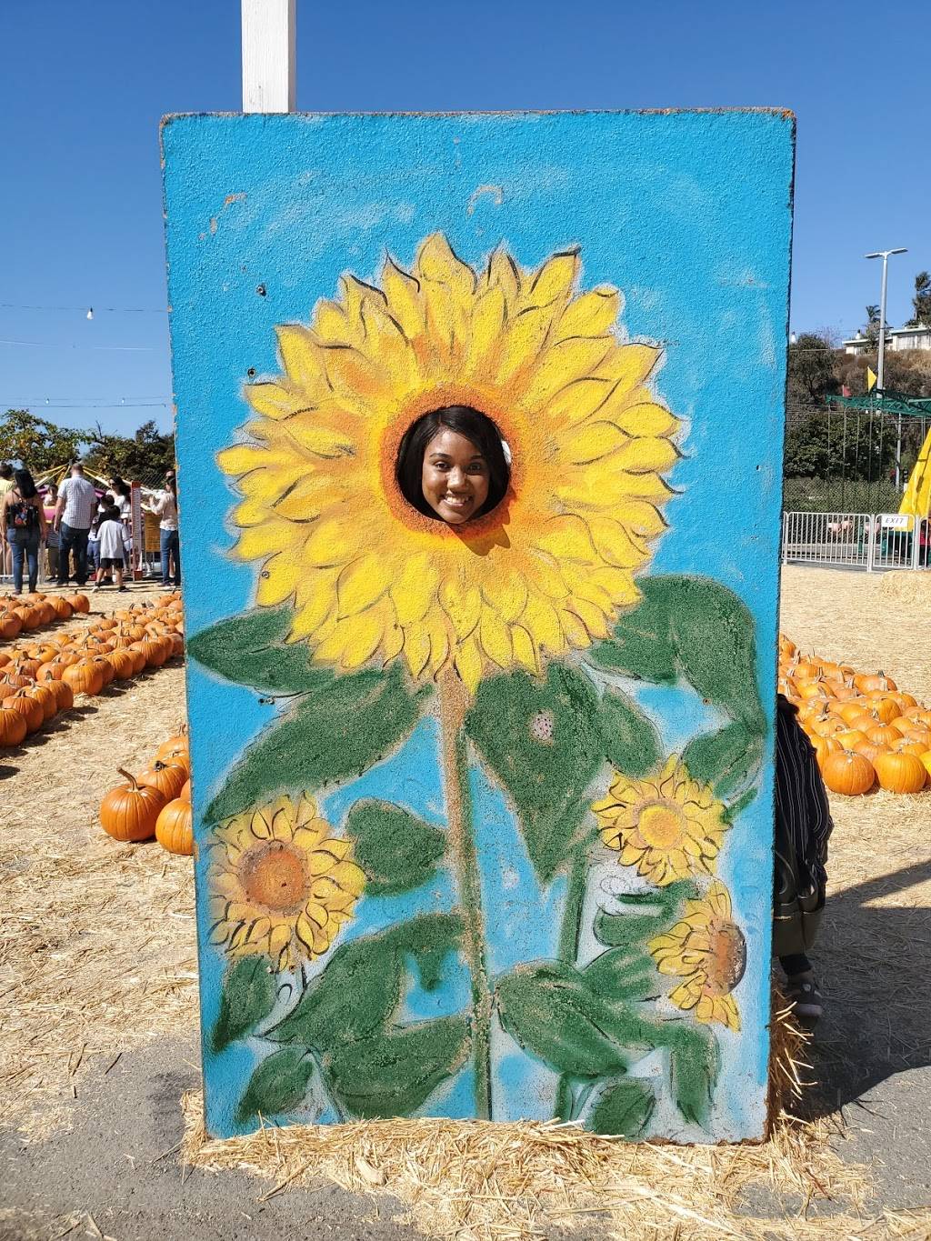 Pumpkin Patch National City, Pumpkins National City | 3030 Plaza Bonita Rd, National City, CA 91950, USA | Phone: (858) 566-7466