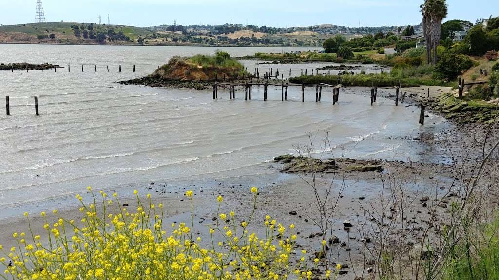 Glass Beach | Benicia, CA 94510