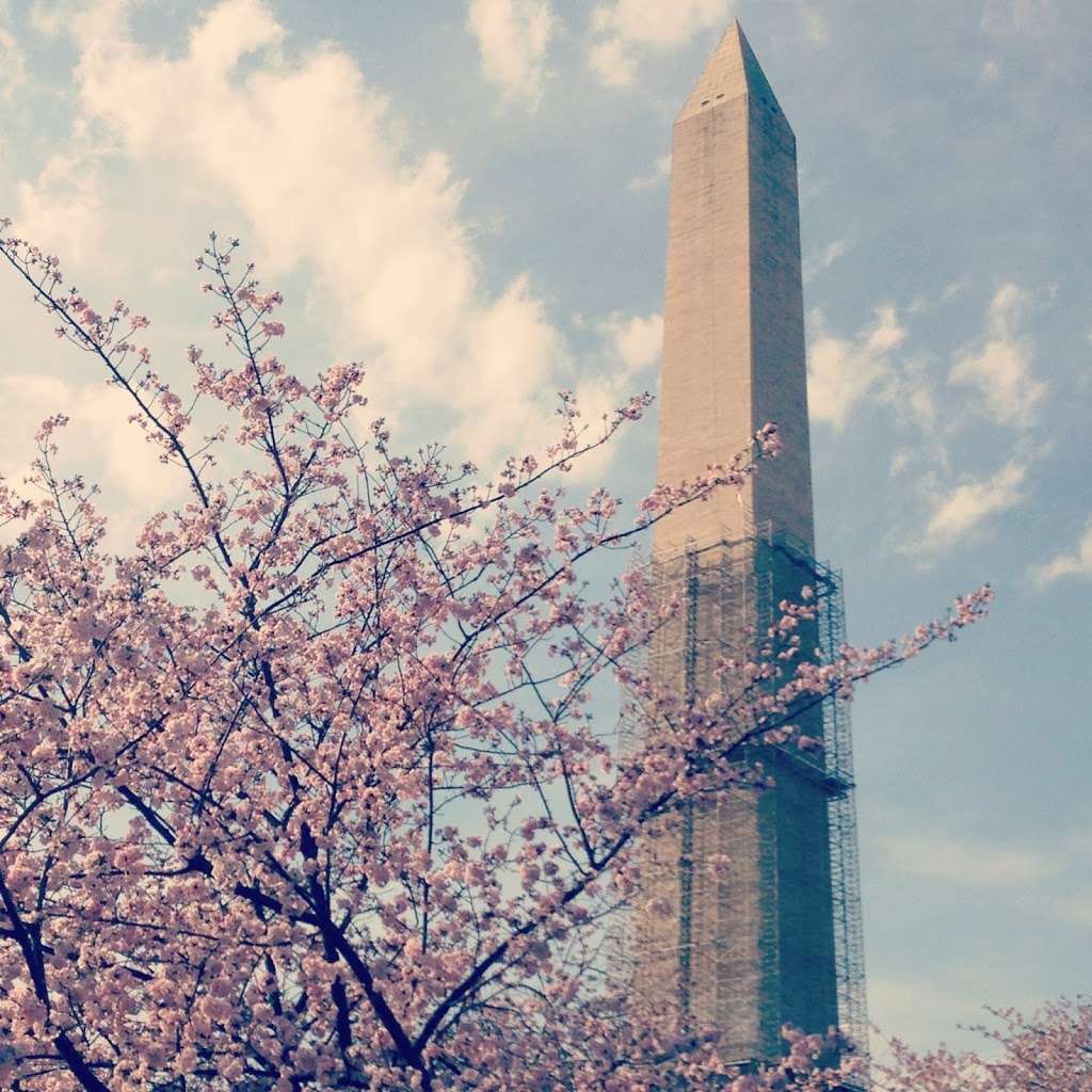 National Capital Animal Services | 14630 Balsam Ct, Swan Point, MD 20645, USA | Phone: (202) 670-6095