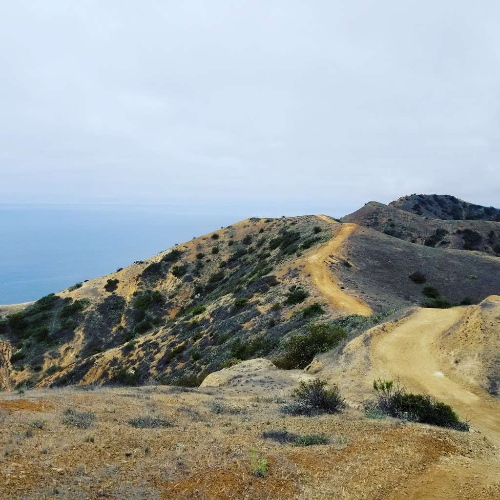 Lone Tree View Point | Lone Tree Road, Avalon, CA 90704, USA