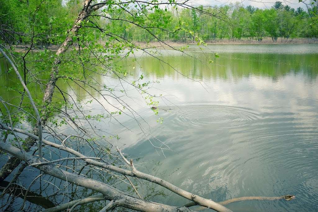 North Fork State Wildlife Refuge | Bloomington, IN 47401, USA