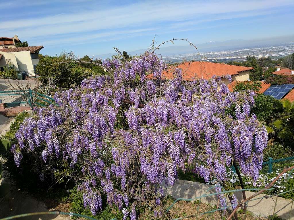 Frog Pond Park | Palos Verdes Dr E, Rancho Palos Verdes, CA 90275