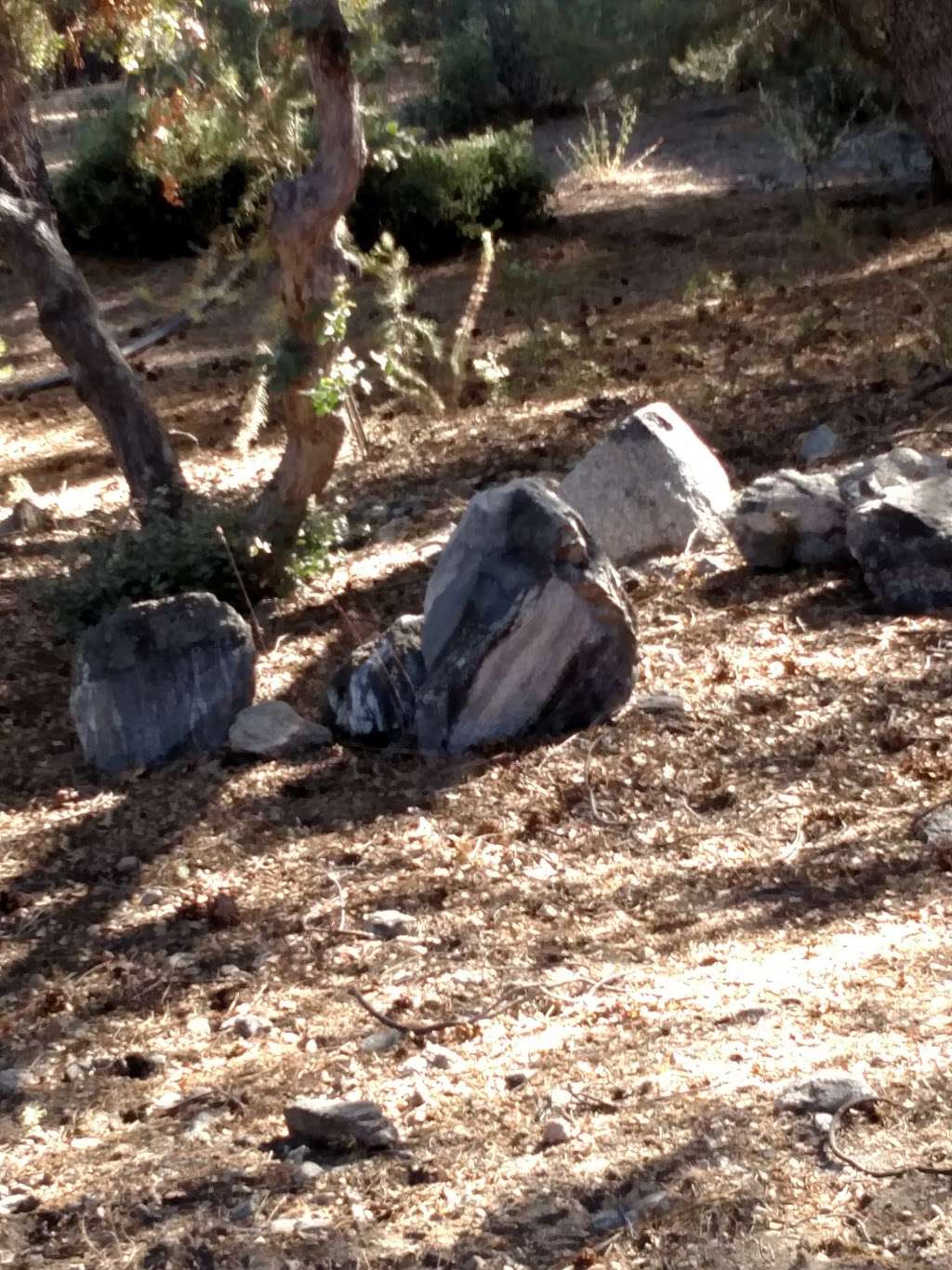 Stone Cinema Engineering | 2025 Bernina Dr, Frazier Park, CA 93225, USA | Phone: (661) 242-8490