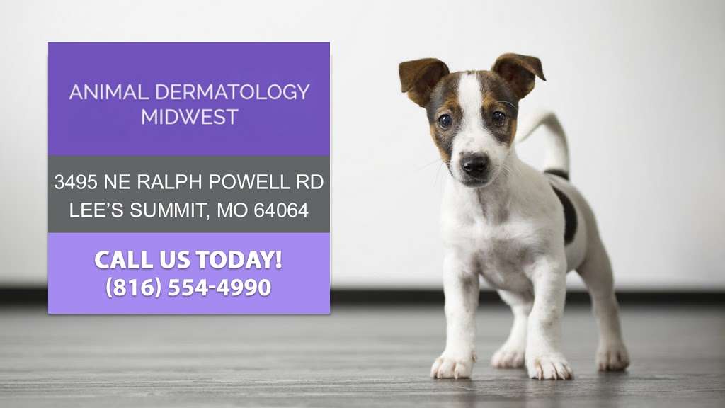 Allergy and Dermatology for Animals | 3495 NE Ralph Powell Rd, Lees Summit, MO 64064, USA | Phone: (816) 554-4990