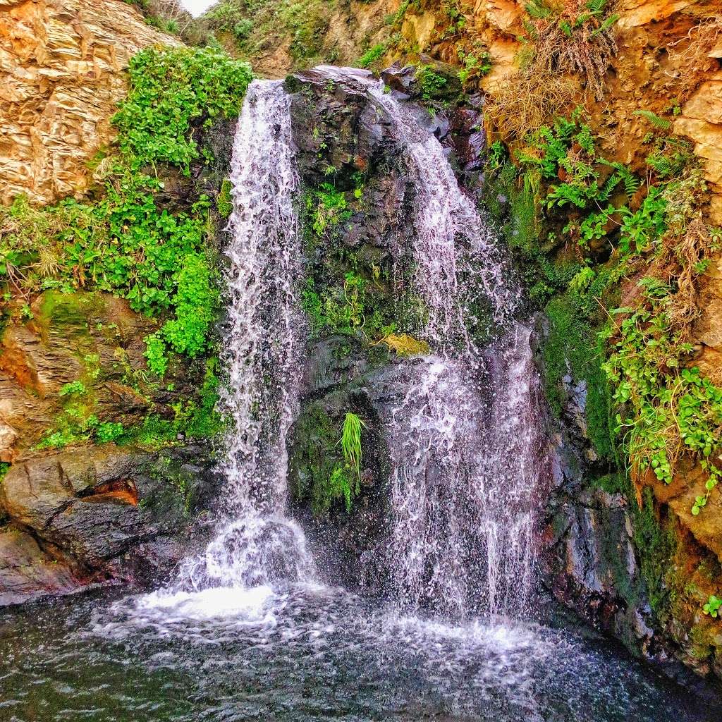 Palomarin Trail Head-Alamere Falls | Palomarin Trail Head, CA 94924, USA | Phone: (415) 464-5100