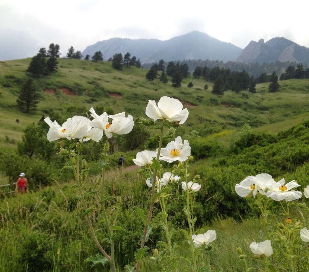 Bear Canyon Trail | Bear Canyon Trail, Boulder, CO 80305, USA