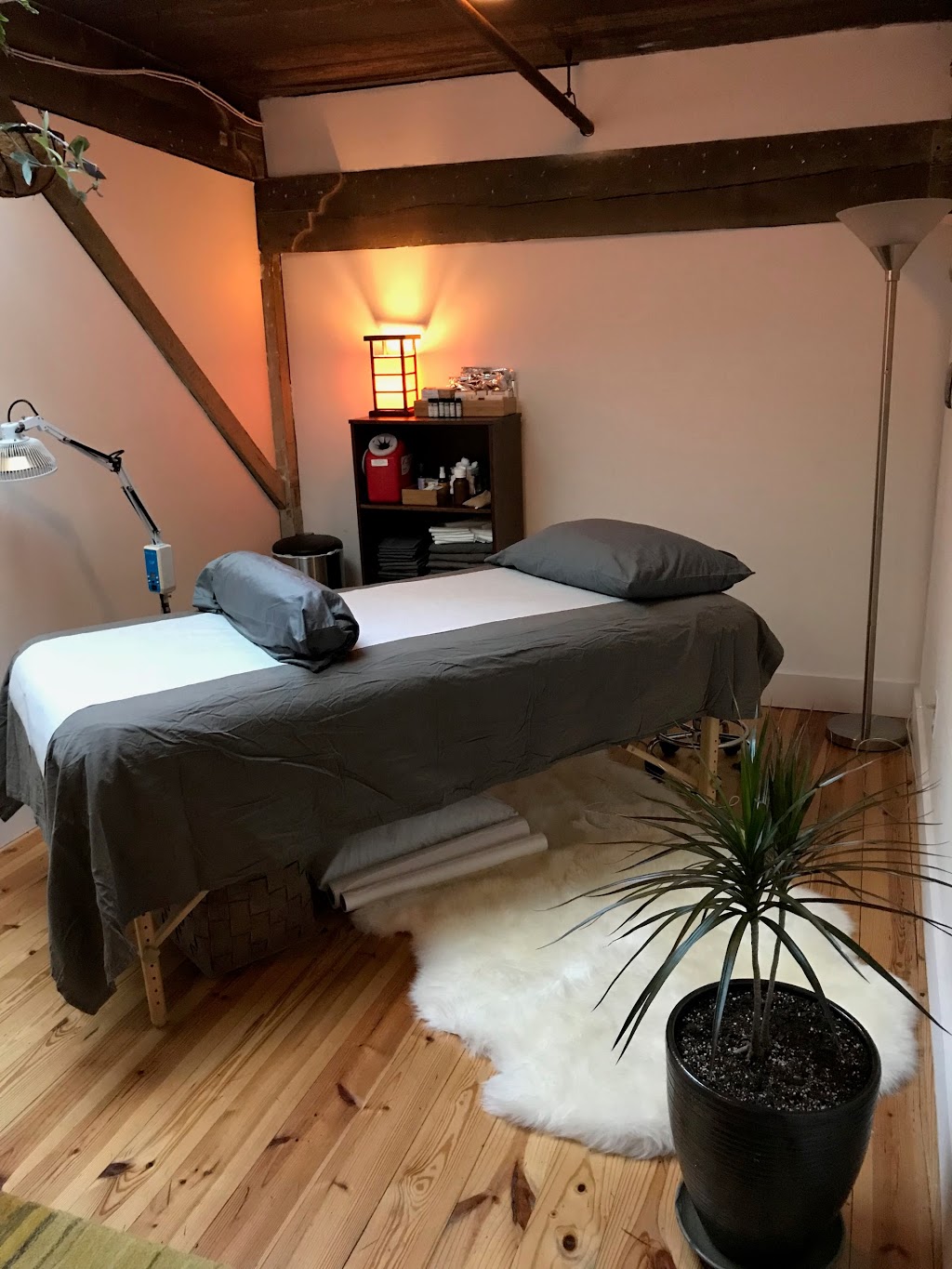 Pulse Chinese Medicine | 1216 4th Ave N Suite 108, Nashville, TN 37208, USA | Phone: (828) 280-0497