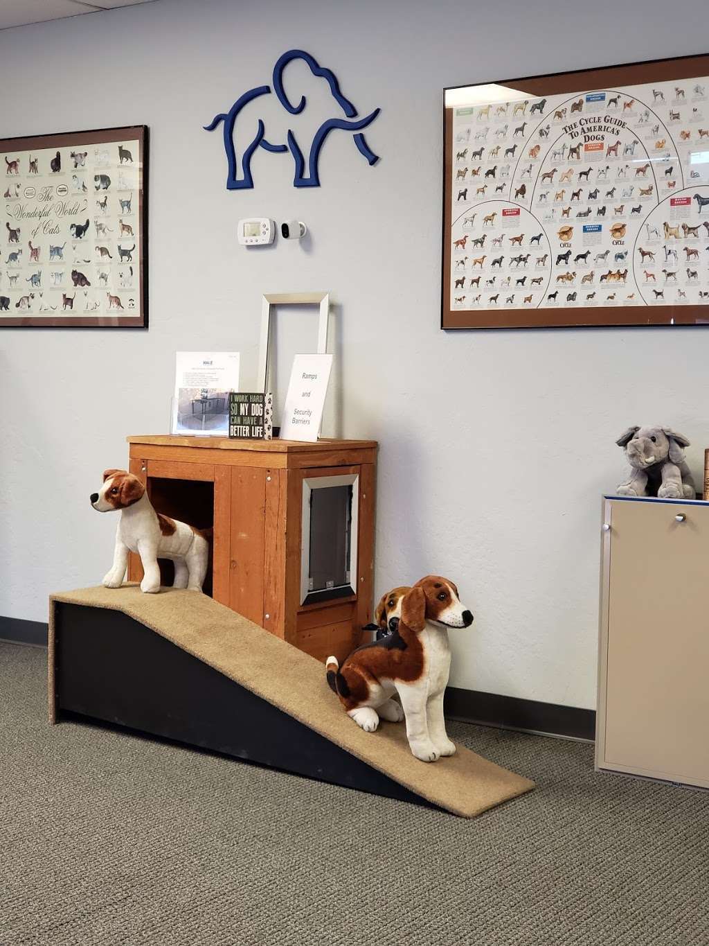 Hale Pet Door | 5028 S Ash Ave Suite 101, Tempe, AZ 85282, USA | Phone: (800) 888-8914