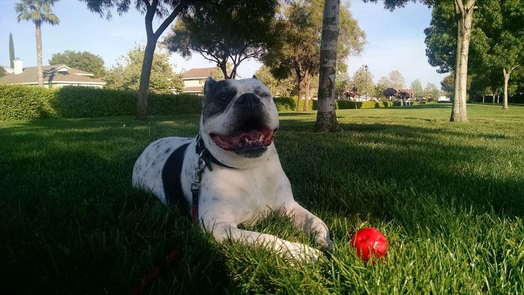 Chaparral Park | 5159 Prewett Ranch Dr, Antioch, CA 94531, USA