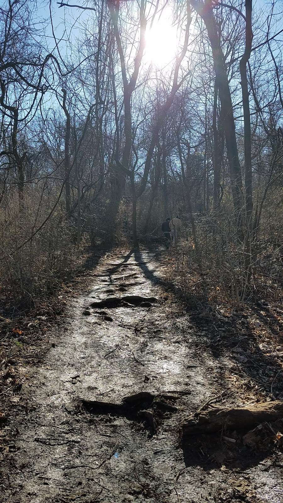 Snickers Gap - Appalachian Trailhead | Bluemont, VA 20135, USA