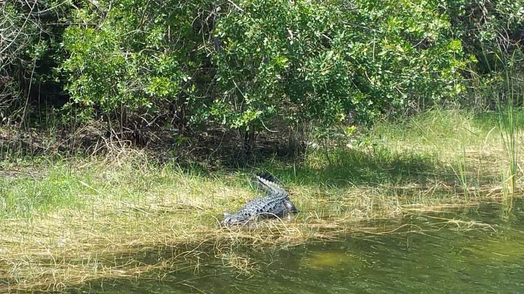 Fay Lake South lakeside Trail | 6310 Fay Blvd, Cocoa, FL 32927, USA | Phone: (321) 633-1904