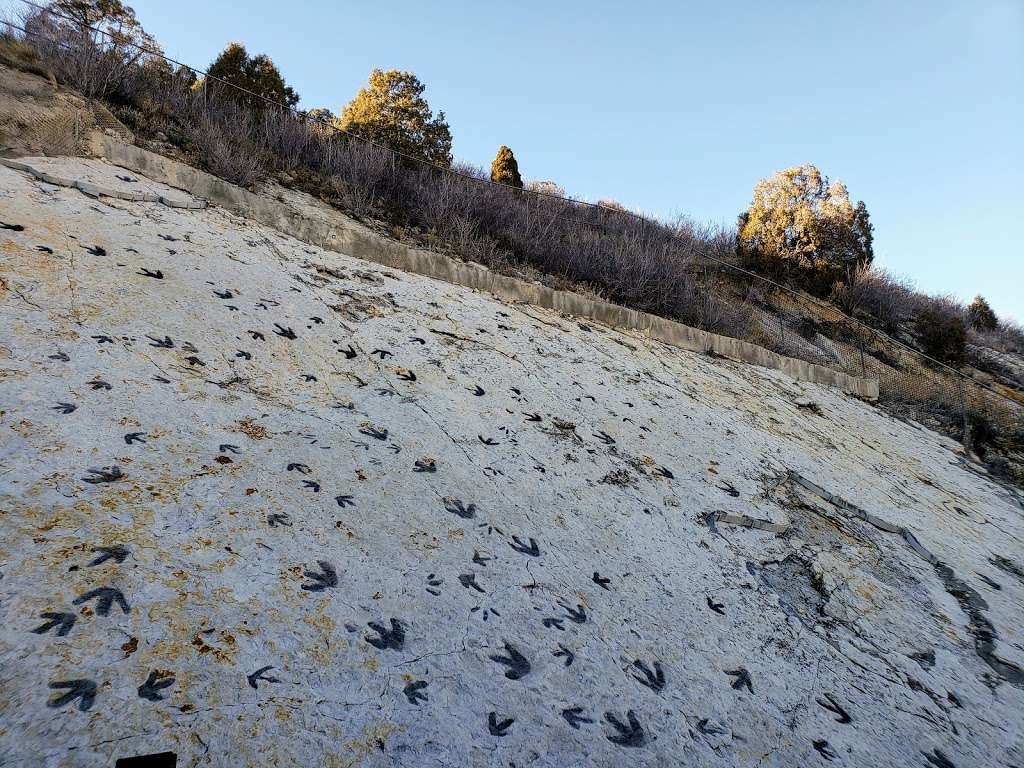 Dinosaur Tracksite | Morrison, CO 80465