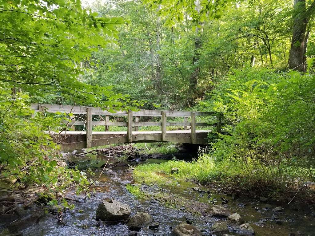 Hacklebarney Hiking Trail | 119 Hacklebarney Rd, Long Valley, NJ 07853, USA | Phone: (908) 638-8572