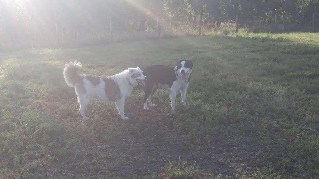 David A. Lorenz Regional Park Bark Park | Highlands Ranch, CO 80126, USA