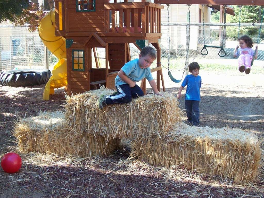 Little Shepherd Preschool | 18980 Arnold Dr, Sonoma, CA 95476, USA | Phone: (707) 343-7548