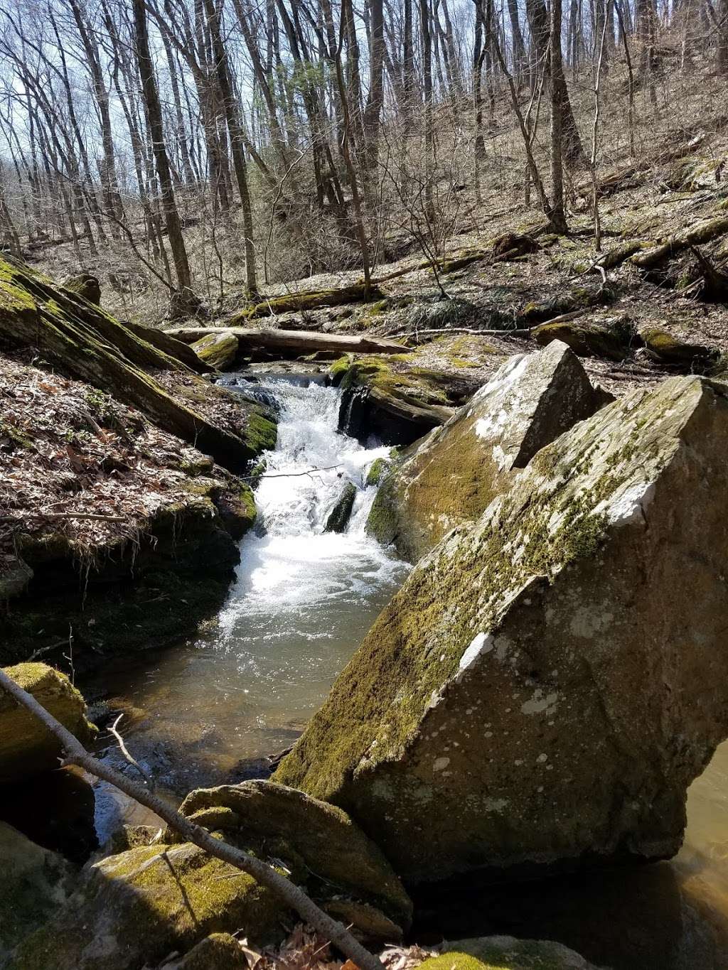 Trout Run Nature Preserve in Stump Rd, Pequea, PA 17565, USA