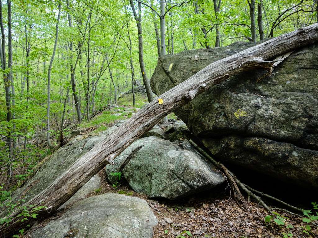 Valley of Dry Bones | Ramapo, NY 10901