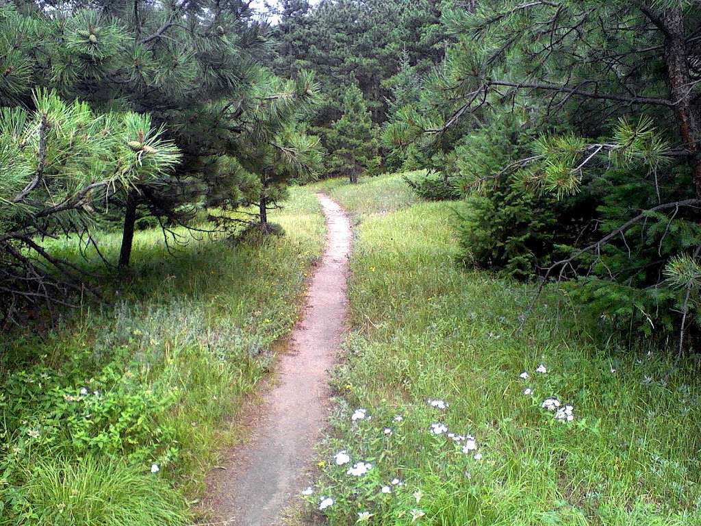 Mt Falcon Hiking Trail | 3950 80465, 3992 Vine St, Morrison, CO 80465, USA