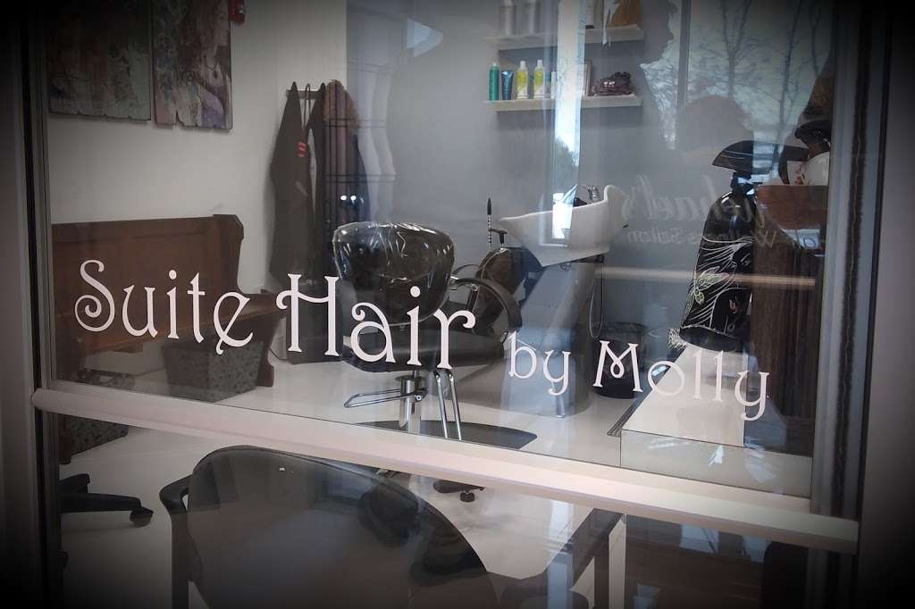 Suite Hair by Molly | 1909 Meyers Rd #110, Villa Park, IL 60181 | Phone: (630) 310-9091