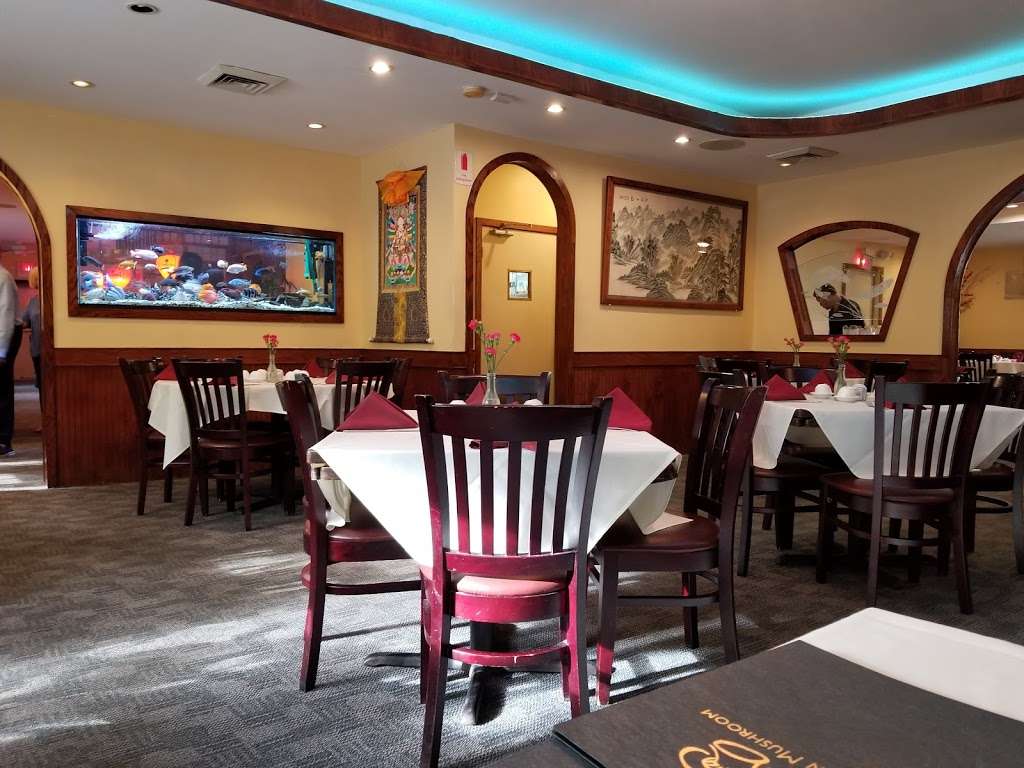 The Golden Mushroom | 425 N Highland Ave, Nyack, NY 10960, USA | Phone: (845) 358-4203