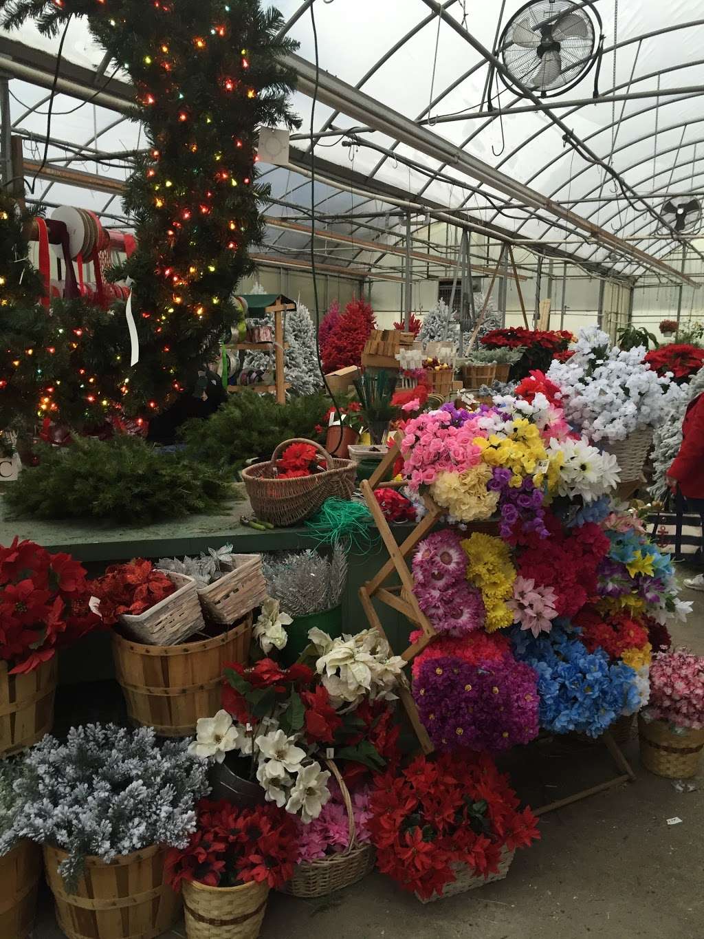 Vincentown Florist & Garden Center | 127 County Rd 530, Southampton Township, NJ 08088 | Phone: (609) 267-8708