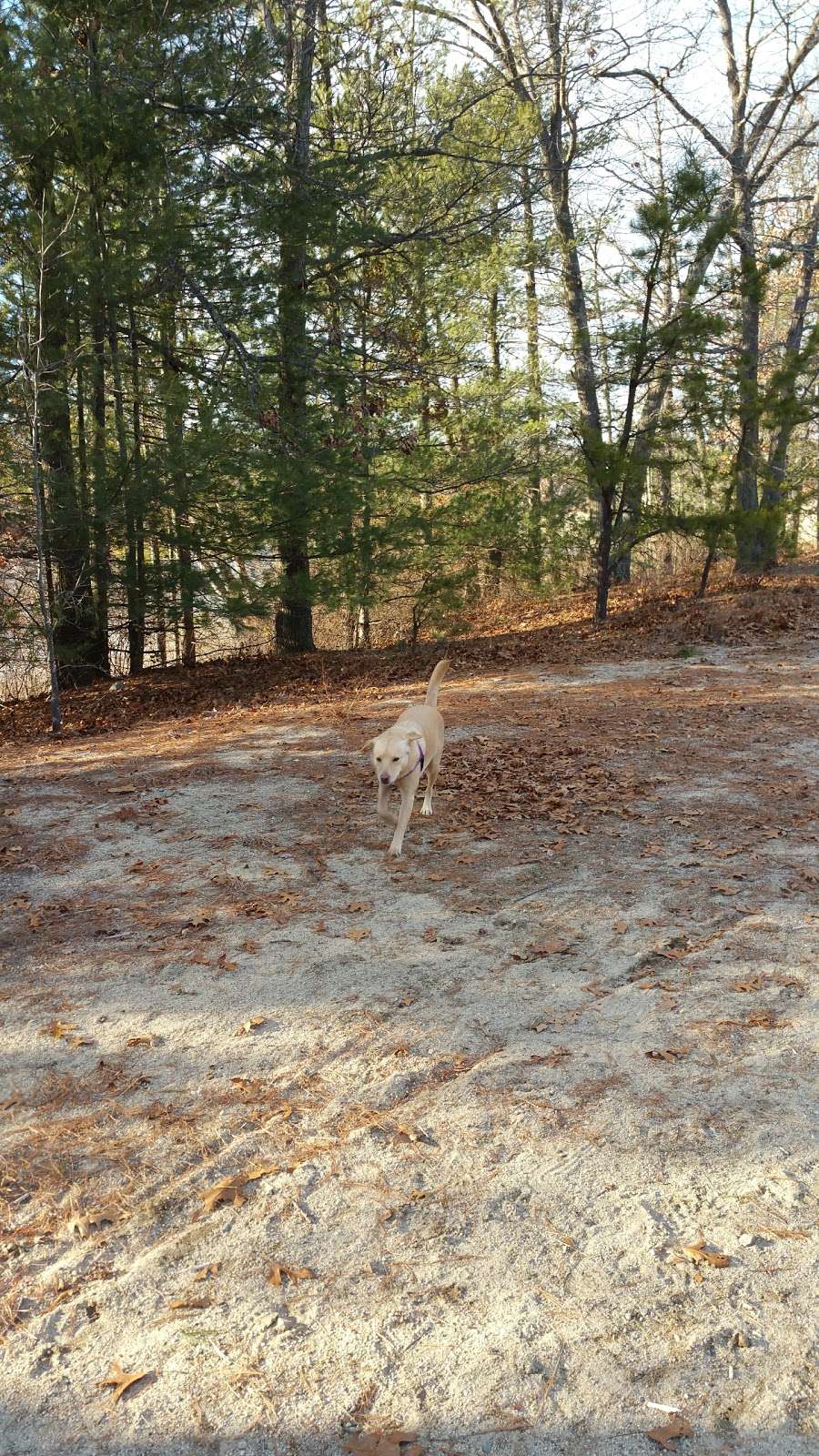 Chilson Park | Franklin, MA 02038, USA