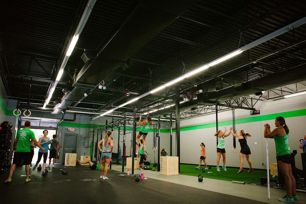 CrossFit Kells | 14 Chestnut St, Duxbury, MA 02332, USA | Phone: (781) 585-3018