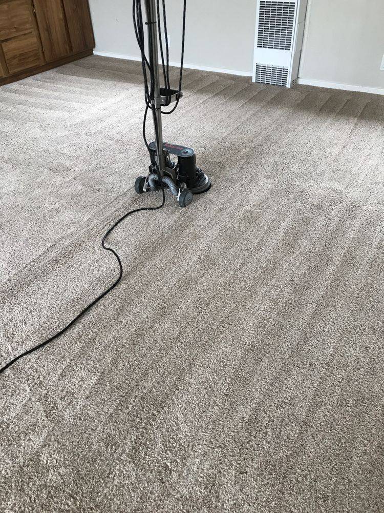 san jose best carpet cleaning | 150 Delmas Ave, San Jose, CA 95110 | Phone: (408) 831-3380