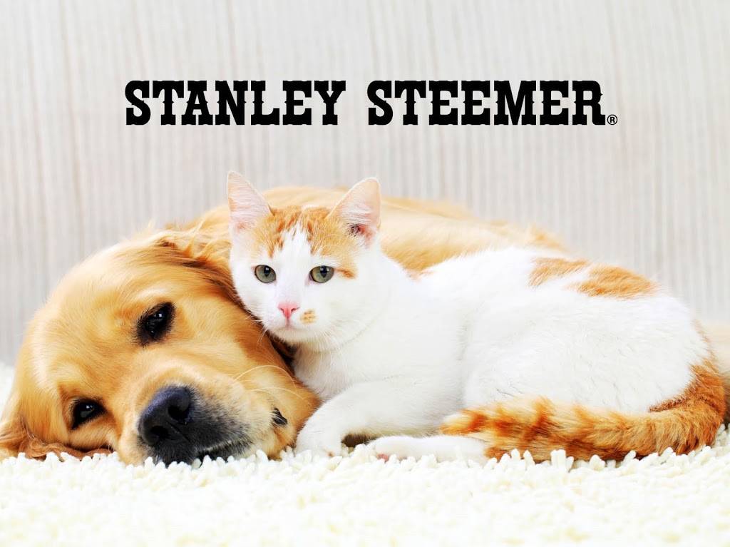 Stanley Steemer | 439 20th St, Brooklyn, NY 11215 | Phone: (718) 302-5154