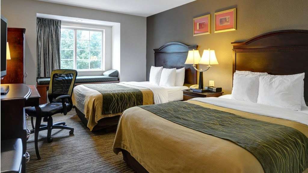 Comfort Inn & Suites Airport Dulles-Gateway | 45515 Dulles Plaza, Sterling, VA 20166 | Phone: (703) 471-5005