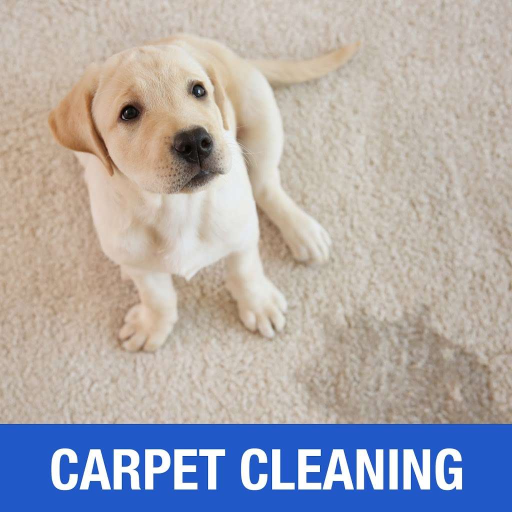 Spot Doctor Carpet Cleaning | 9401 Fooks Rd, Bishopville, MD 21813, USA | Phone: (443) 783-0605