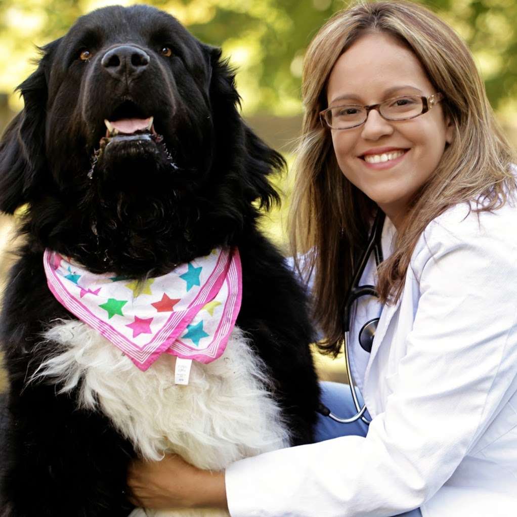 My Family Veterinary Hospital | 17710 Elgin Rd, Poolesville, MD 20837 | Phone: (301) 349-4790