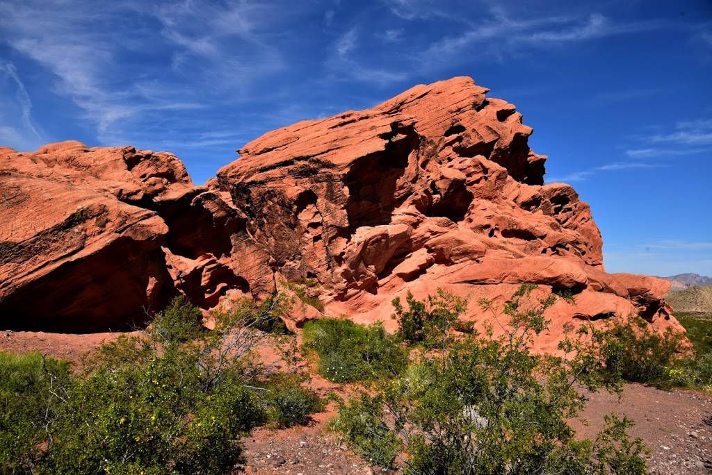 Redstone Dune Trail | Redstone Dune Trail, Overton, NV 89040, USA