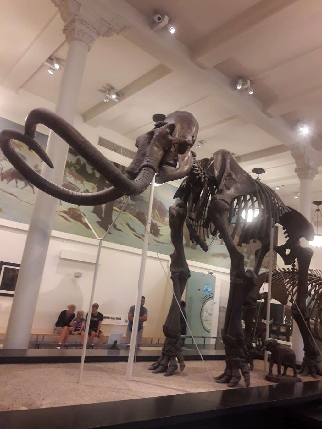 American Museum Of Natural History | Jackson, NJ 08527, USA