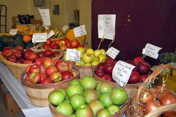 Nutressante | 10 Northern Blvd, Amherst, NH 03031, USA | Phone: (603) 204-5568