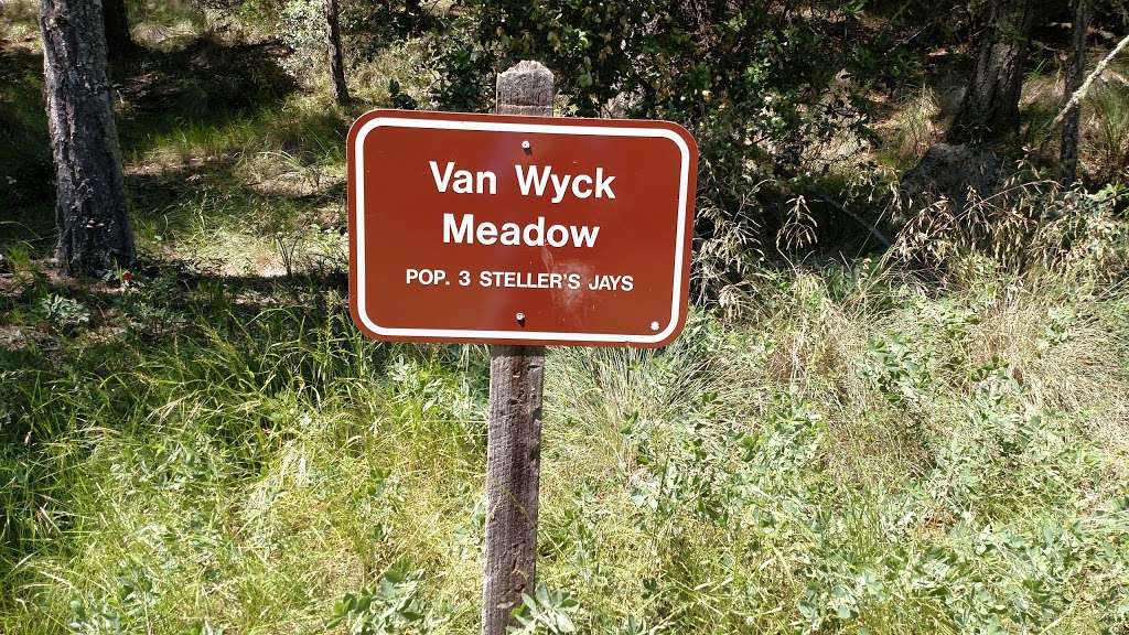 Van Wyck Meadow | Mill Valley, CA 94941, USA