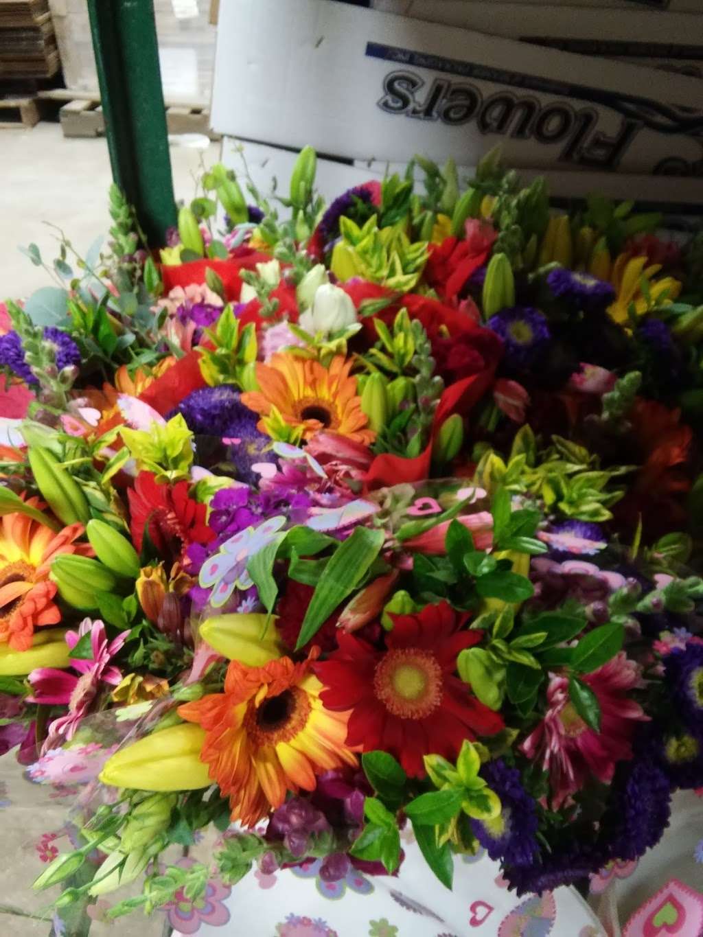 Skyline Flower Growers-Shpprs | 4279 Hueneme Rd, Oxnard, CA 93033, USA | Phone: (805) 488-0879