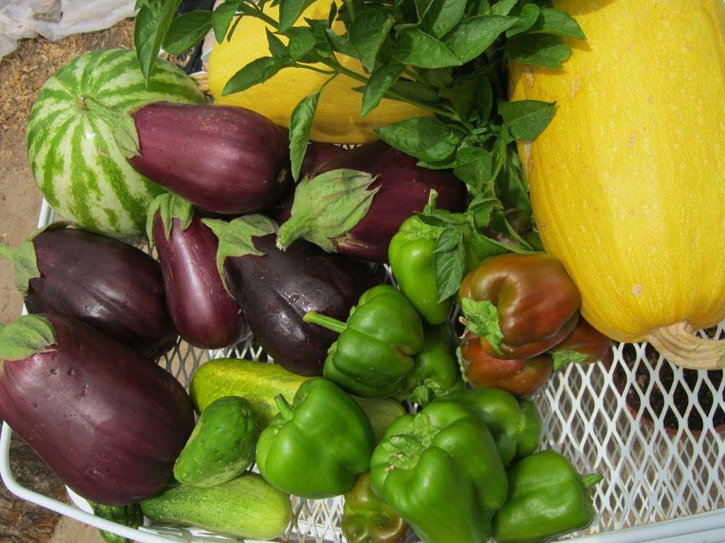 Peters Organic World | 1949 E University Dr #209, Tempe, AZ 85281, USA | Phone: (480) 837-8768
