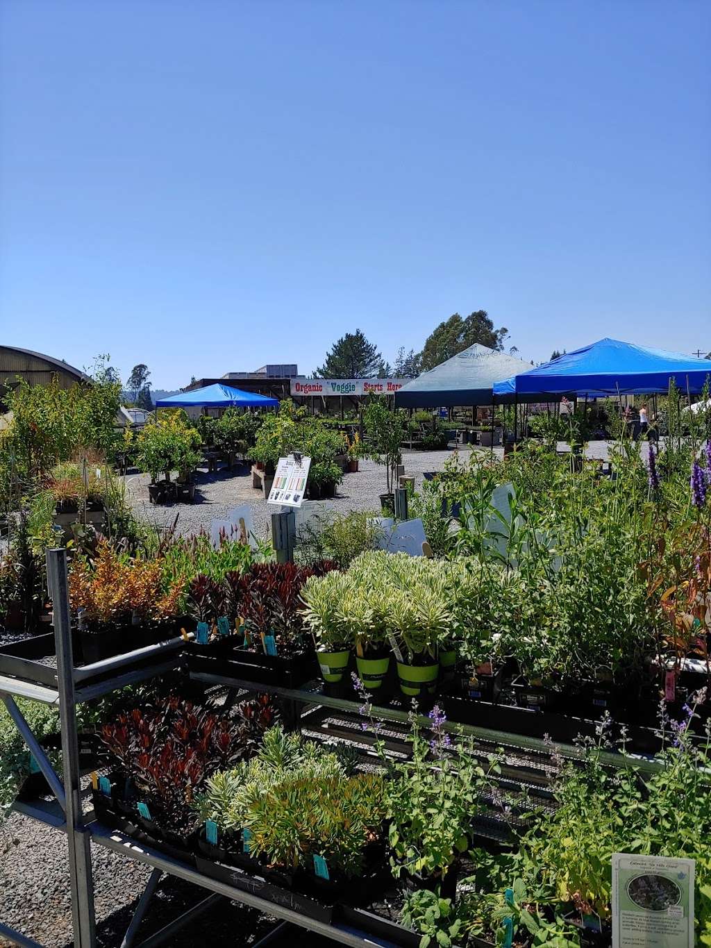 Harmony Farm Supply & Nursery | 3244 Gravenstein Hwy N, Sebastopol, CA 95472, USA | Phone: (707) 823-9125