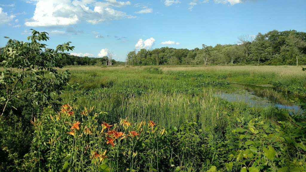 Black River Wildlife Management Area | Chester, NJ 07930, USA | Phone: (908) 879-5100