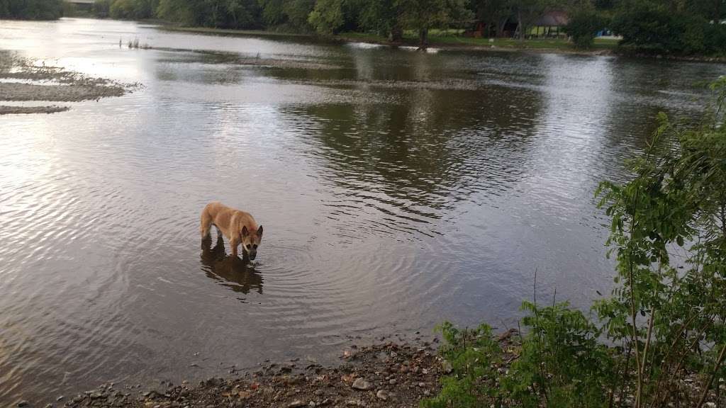 Gregory Island Dog Park | 100-140 E Indian Trail Rd, North Aurora, IL 60542, USA