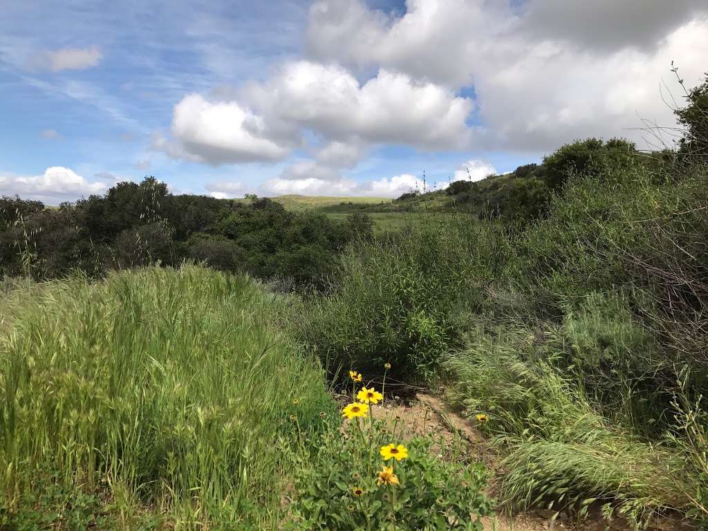 Lang Ranch Open Space | Thousand Oaks, CA 91362, USA